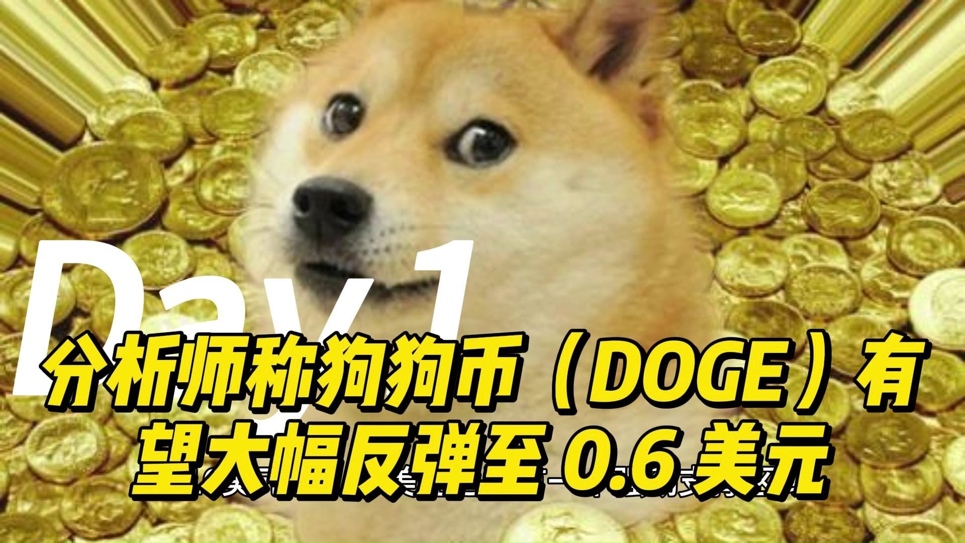 狗狗币遭遇大幅下滑超9.99%，投资者恐慌性抛售，震惊市场